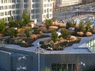 The plant islands are laid out like skerries in the pathways. Pathways with plant islands